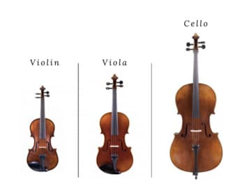 straninstrument