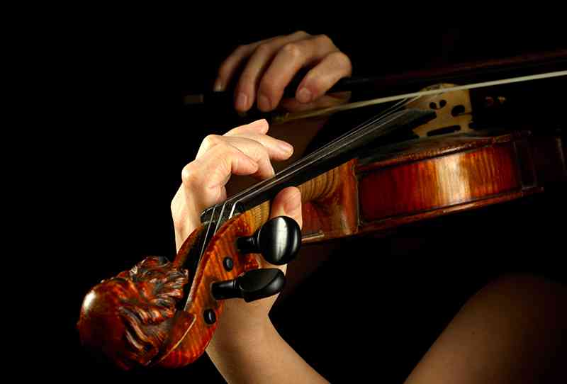 violin
